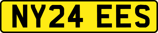 NY24EES