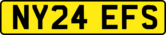 NY24EFS