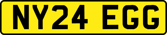 NY24EGG