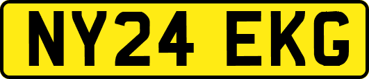 NY24EKG