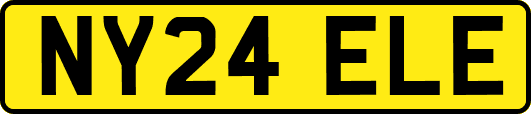 NY24ELE