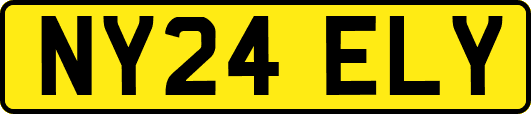 NY24ELY