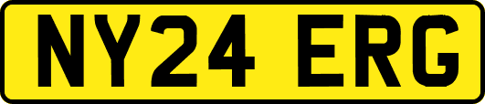 NY24ERG