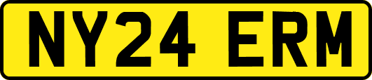NY24ERM