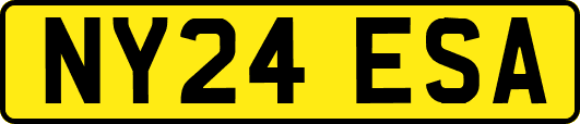 NY24ESA