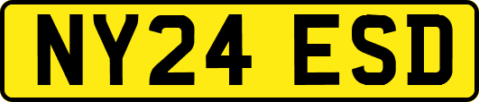 NY24ESD