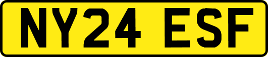 NY24ESF