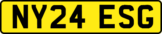 NY24ESG