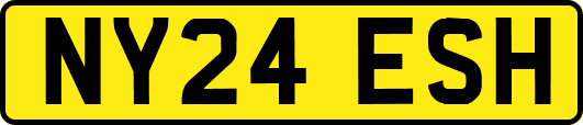 NY24ESH