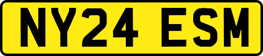NY24ESM