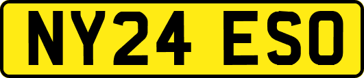 NY24ESO
