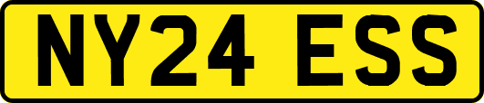 NY24ESS