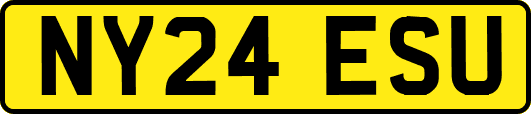 NY24ESU