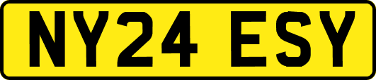 NY24ESY