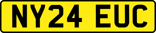 NY24EUC