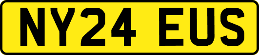 NY24EUS