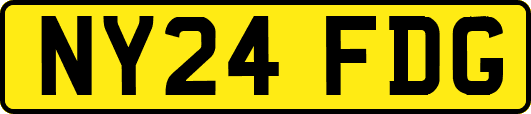NY24FDG