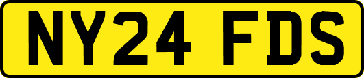 NY24FDS