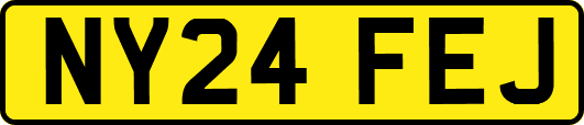 NY24FEJ