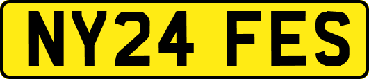 NY24FES