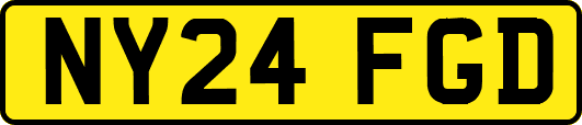 NY24FGD