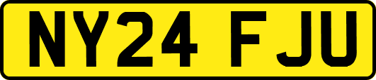NY24FJU
