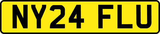 NY24FLU