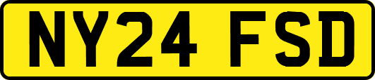 NY24FSD
