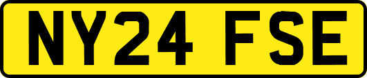 NY24FSE