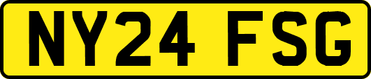 NY24FSG