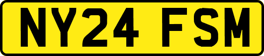NY24FSM