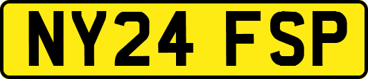 NY24FSP