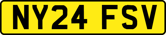 NY24FSV
