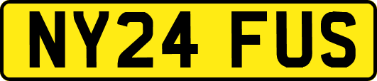 NY24FUS