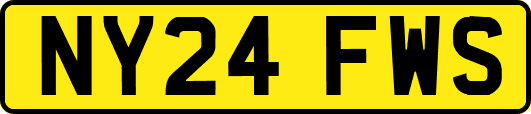 NY24FWS