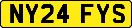 NY24FYS