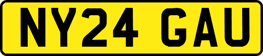 NY24GAU