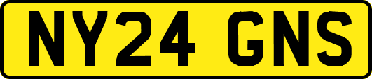 NY24GNS