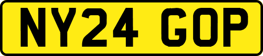 NY24GOP