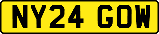 NY24GOW