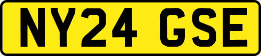 NY24GSE