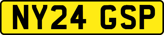 NY24GSP
