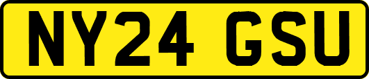 NY24GSU