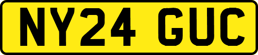 NY24GUC