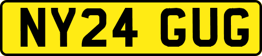 NY24GUG