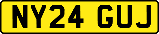 NY24GUJ
