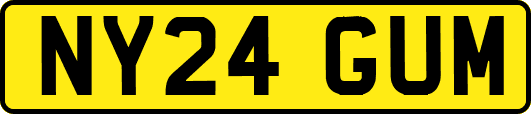 NY24GUM