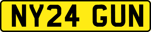 NY24GUN
