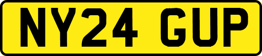 NY24GUP