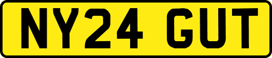 NY24GUT
